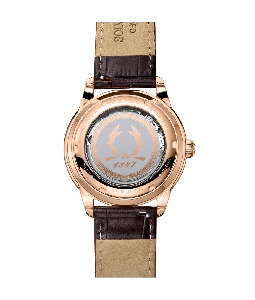 Classic 3 Hands Mechanical Skeleton Leather Watch (W06-03309-006)