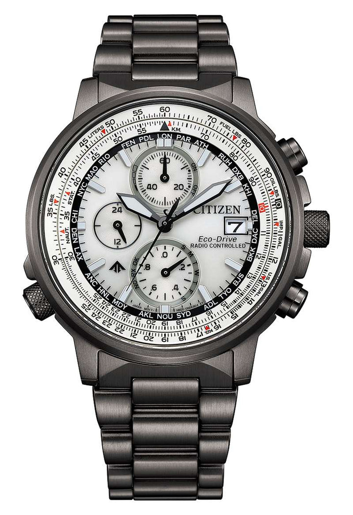 Citizen Promaster (AT8304-57A)