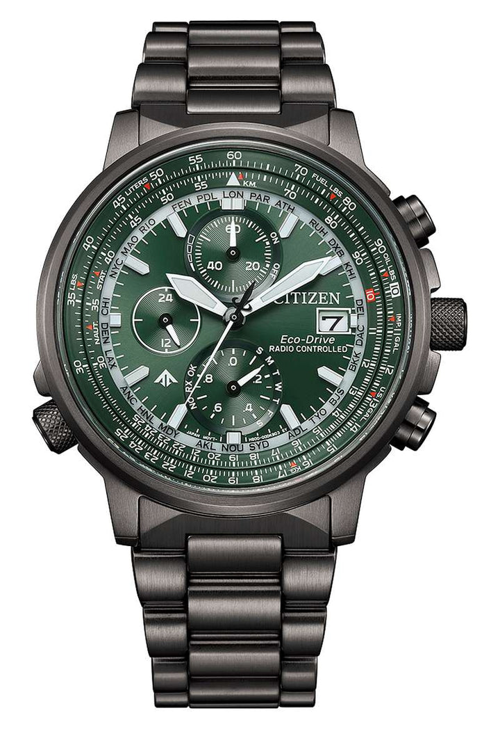 Citizen Promaster (AT8304-57W)