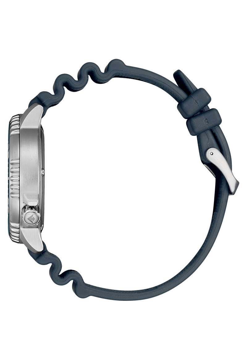 Citizen Promaster (BN0167-09W)