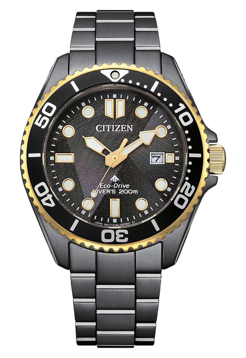 Citizen Promaster (BN0264-53E)