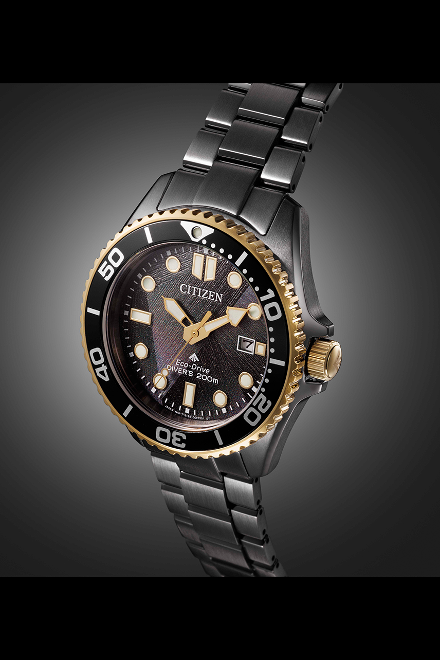 Citizen Promaster (BN0264-53E)