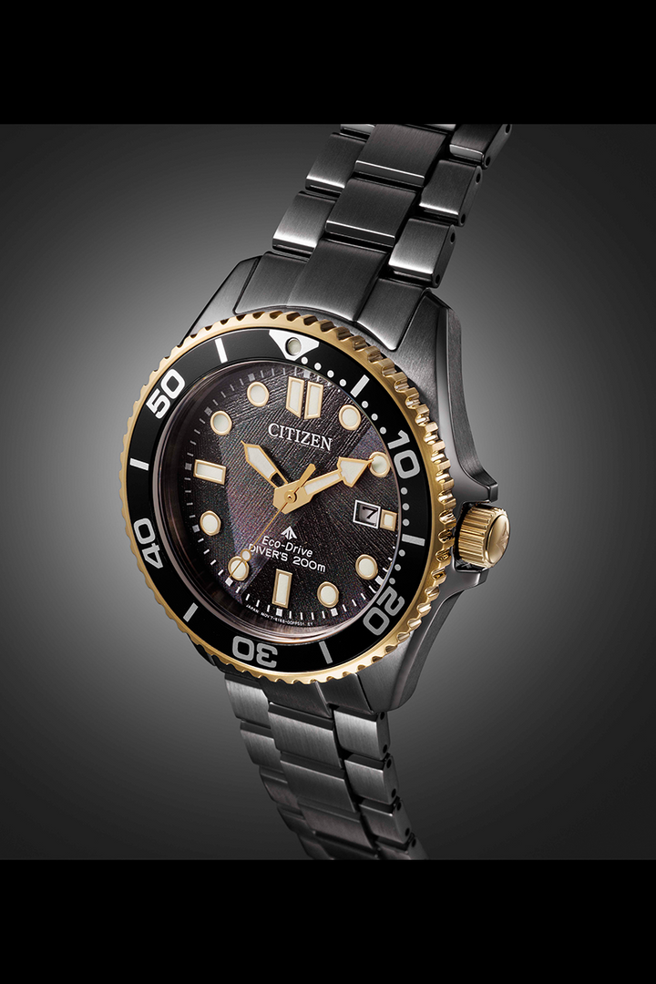 Citizen Promaster (BN0264-53E)