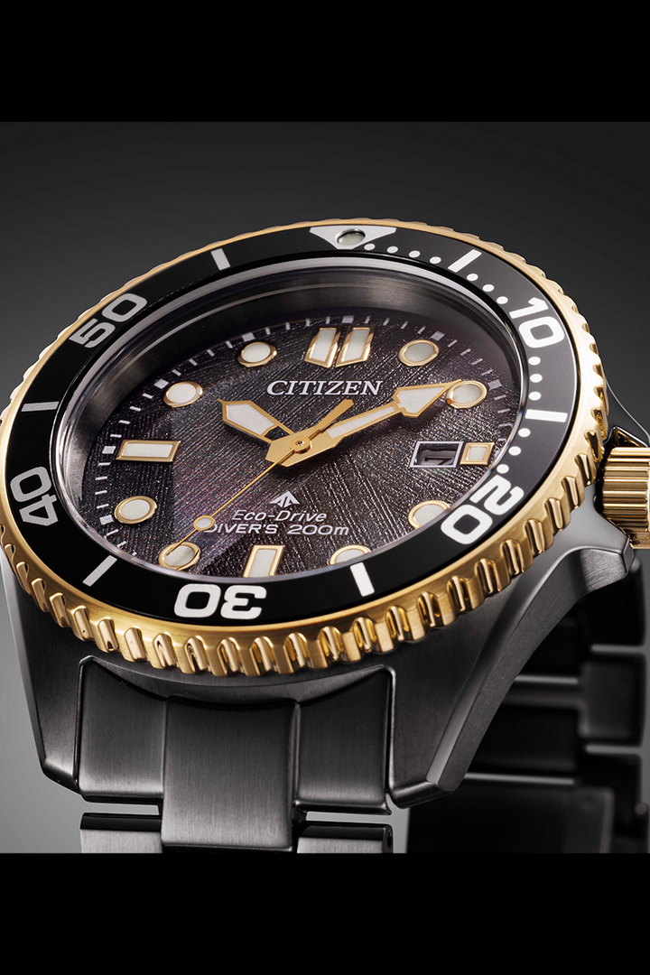 Citizen Promaster (BN0264-53E)