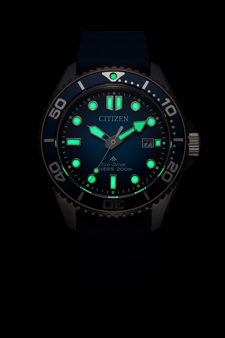 Citizen Promaster (BN0267-04L)
