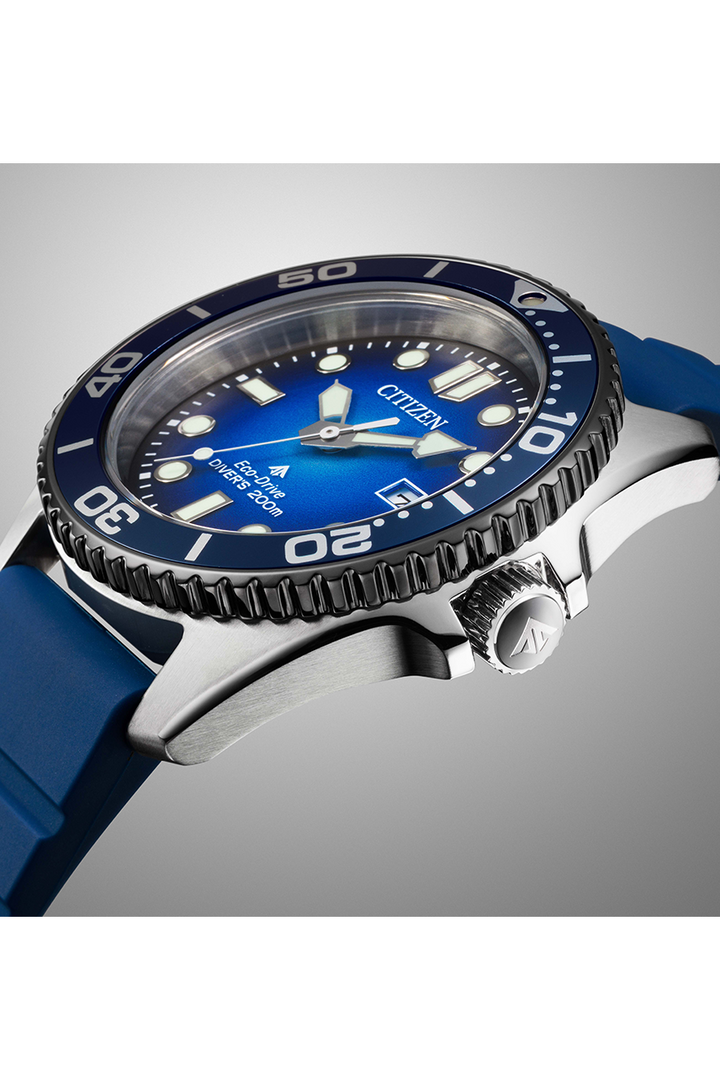 Citizen Promaster (BN0267-04L)