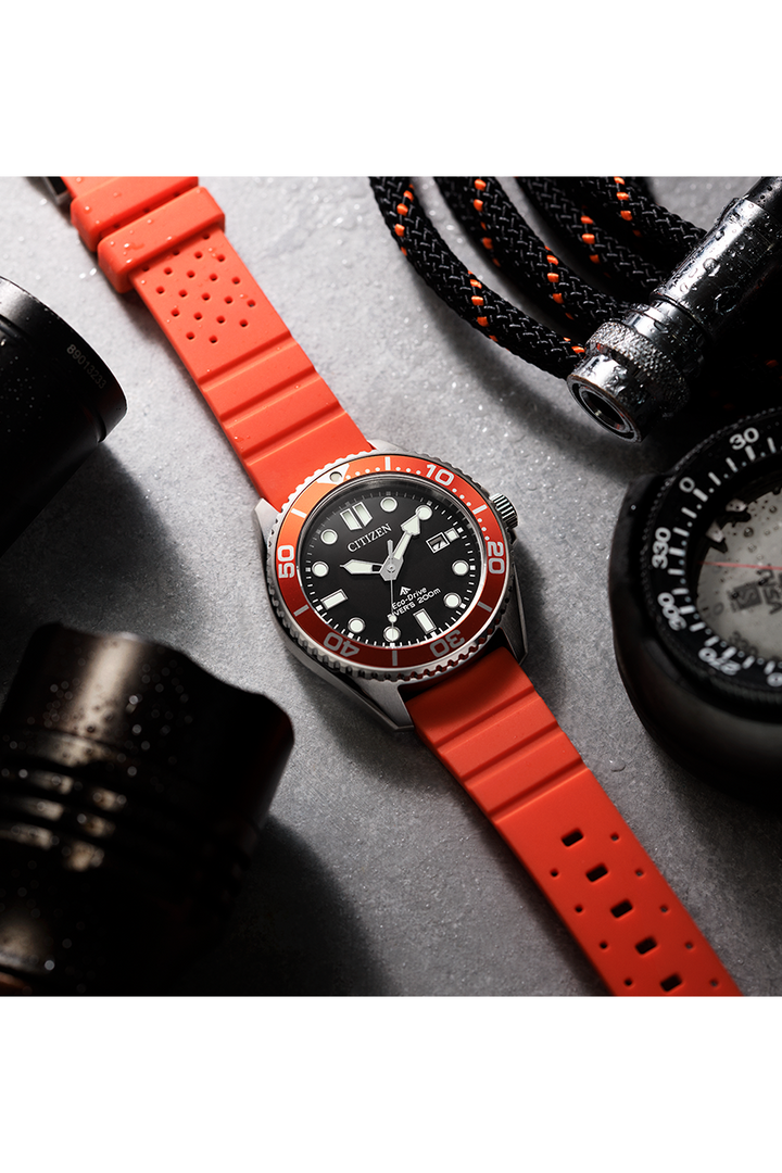 Citizen Promaster (BN0268-01E)