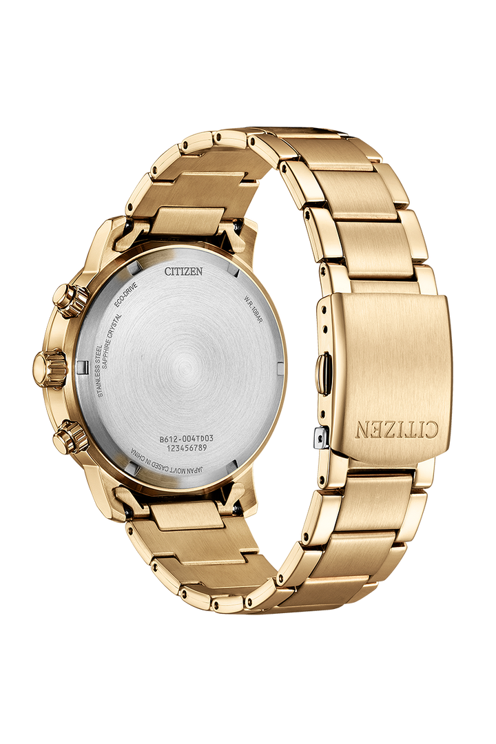 Citizen Eco Drive (CA0843-89L)