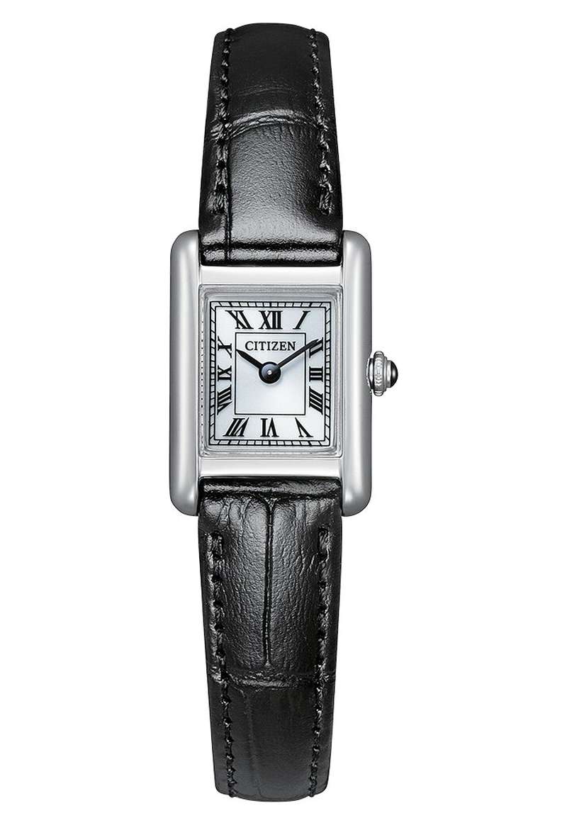 Citizen Eco Drive (EG2790-12A)