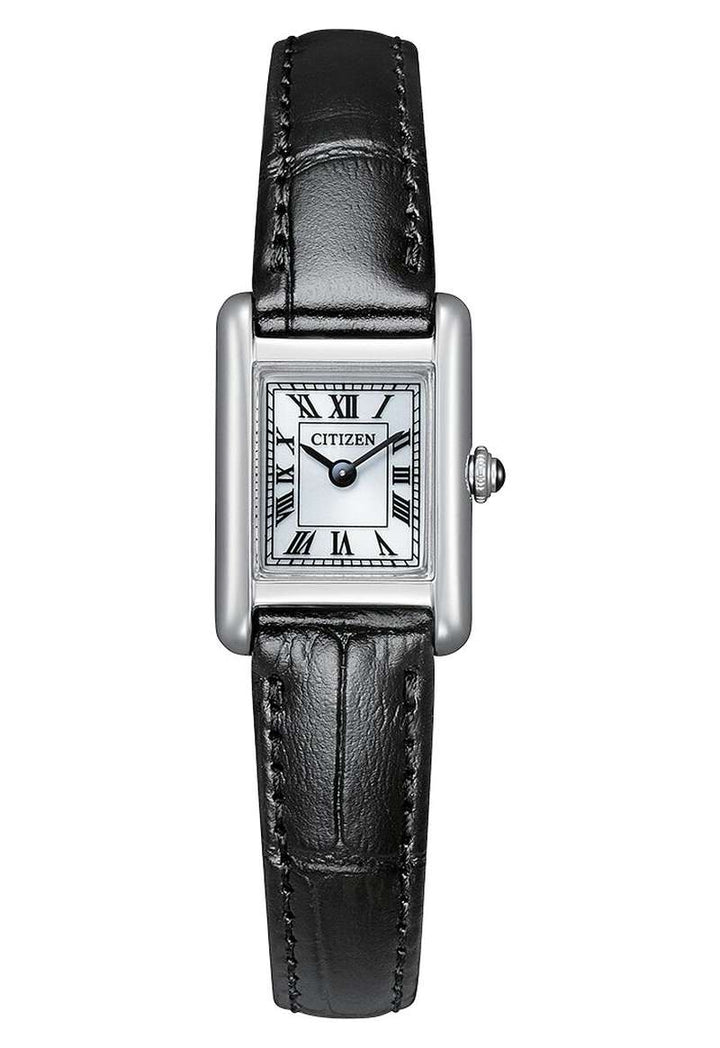 Citizen Eco Drive (EG2790-12A)