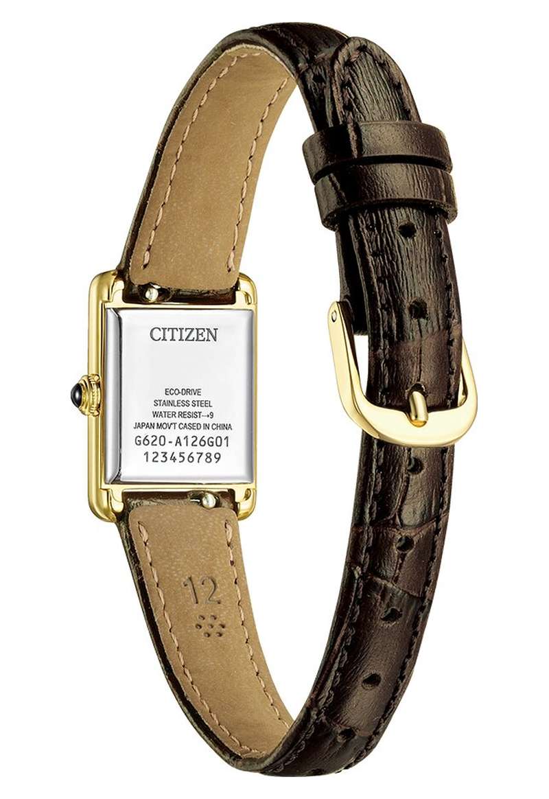 Citizen Eco Drive (EG2797-13A)