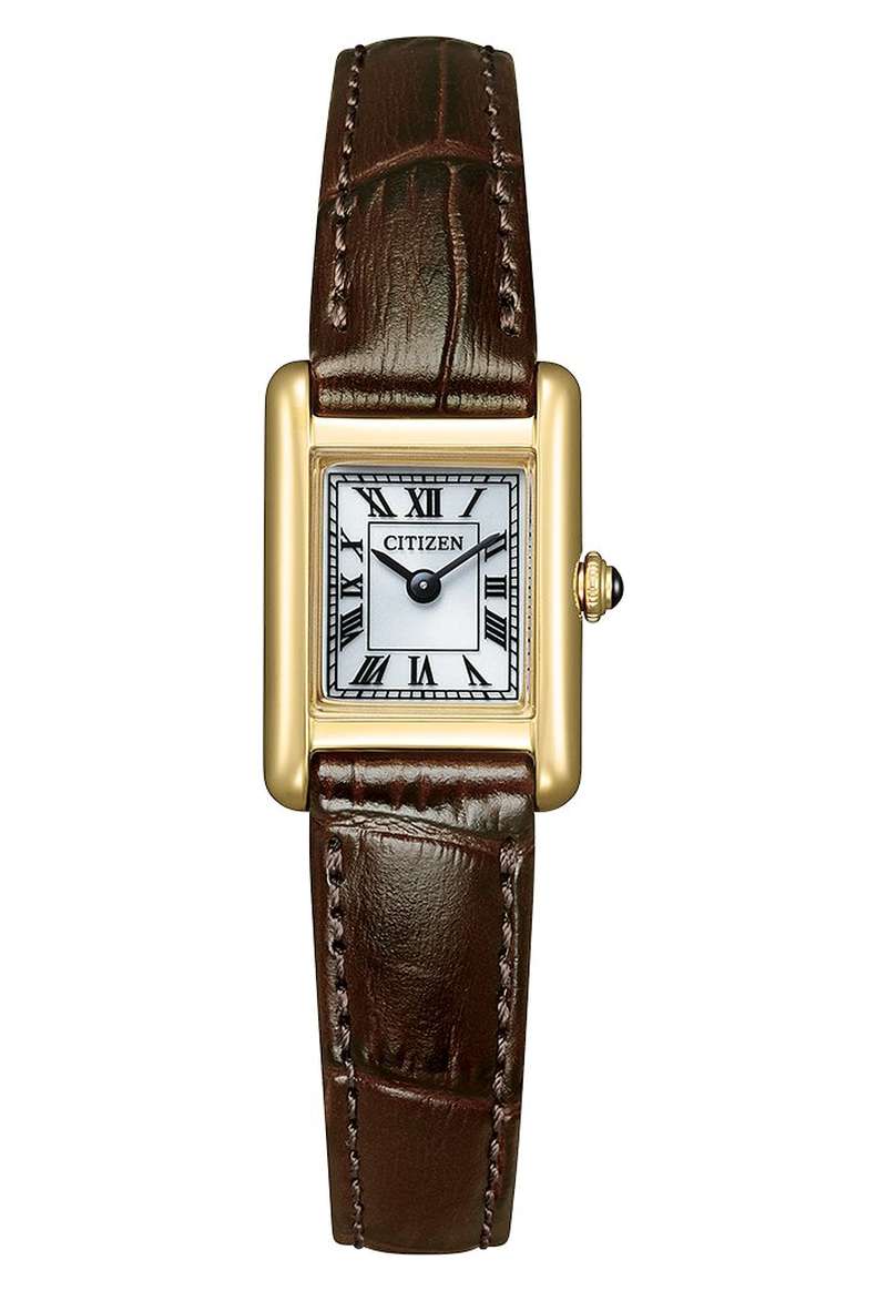 Citizen Eco Drive (EG2797-13A)