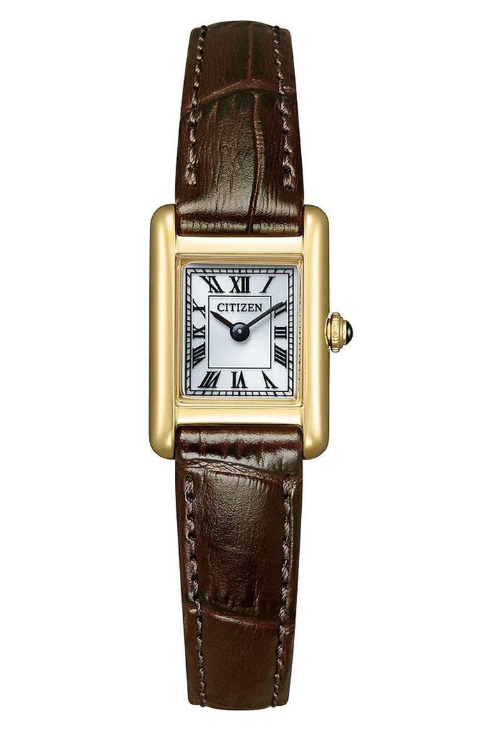 Citizen Eco Drive (EG2797-13A)