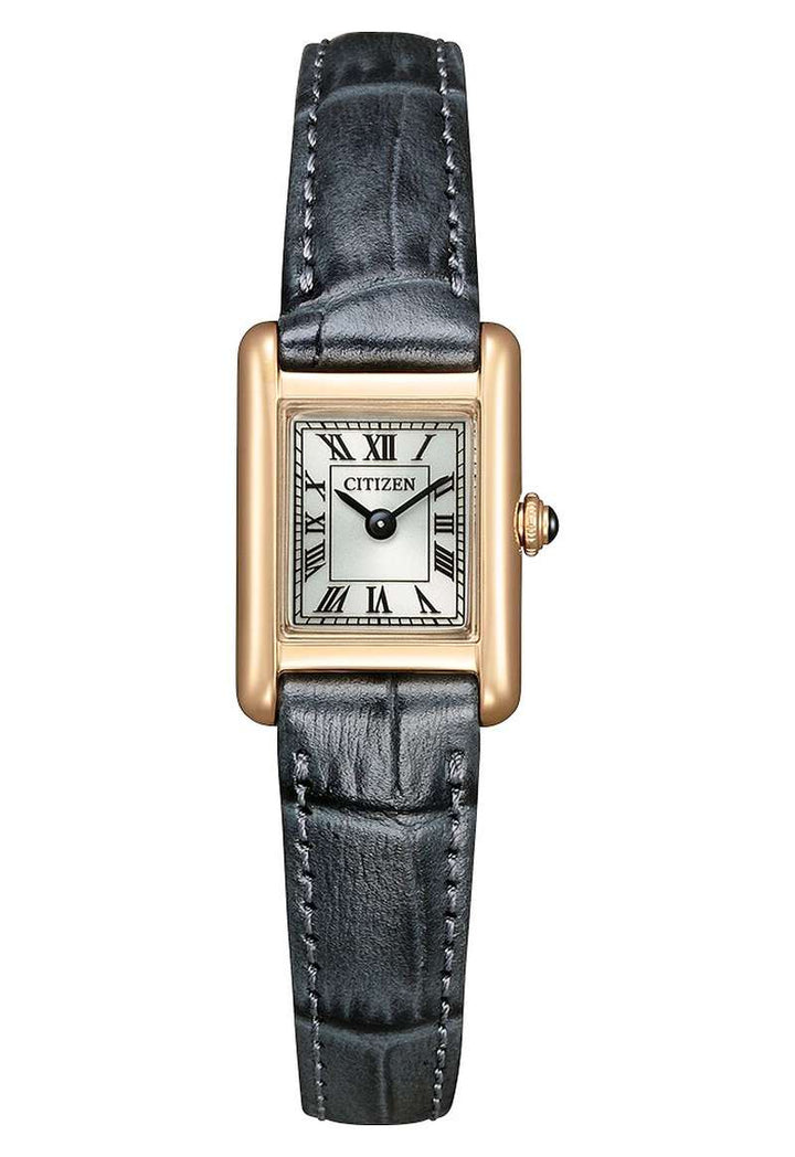 Citizen Eco Drive (EG2799-18W)