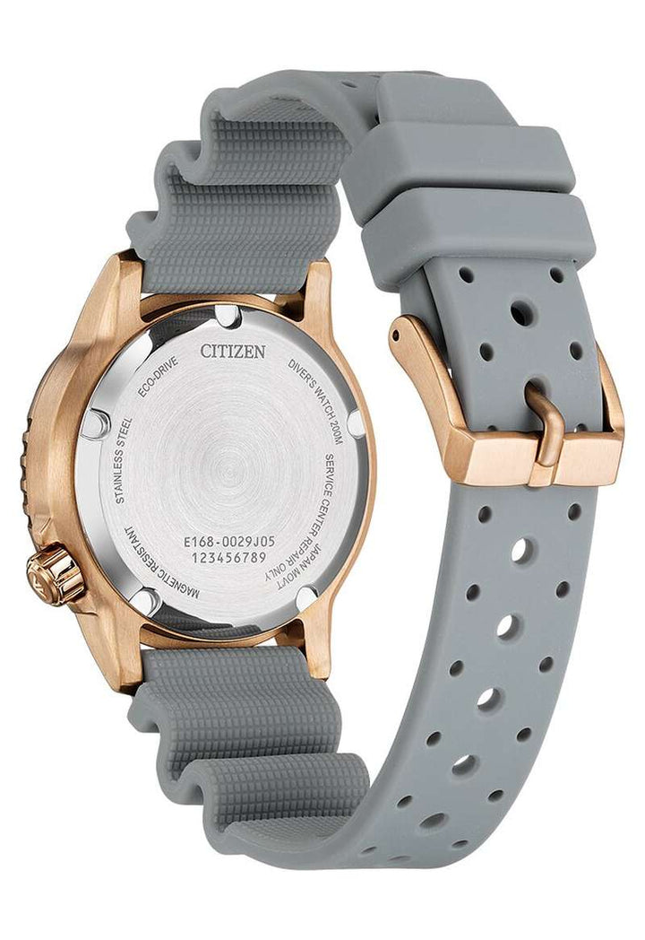 Citizen Promaster (EO2023-00W)