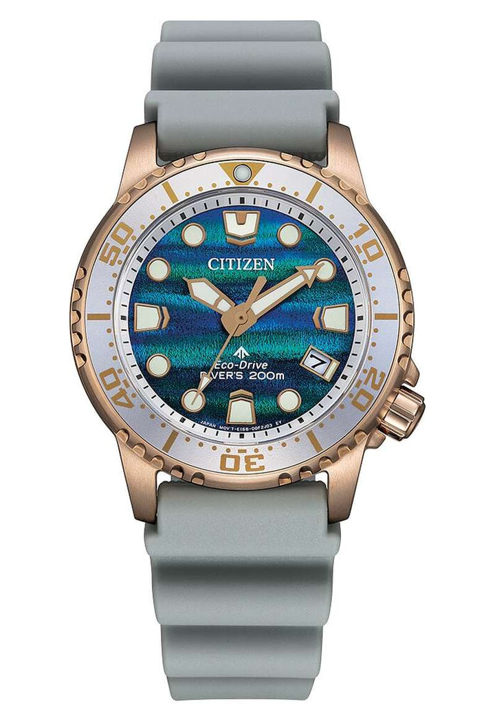 Citizen Promaster (EO2023-00W)