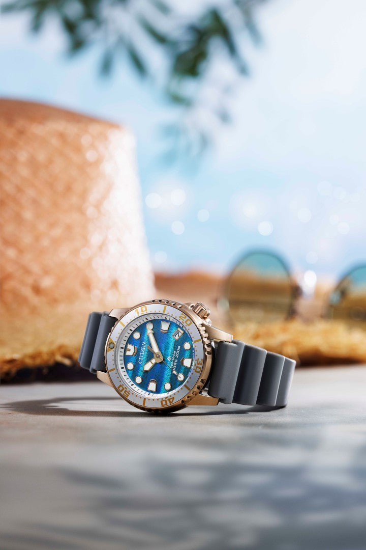 Citizen Promaster (EO2023-00W)