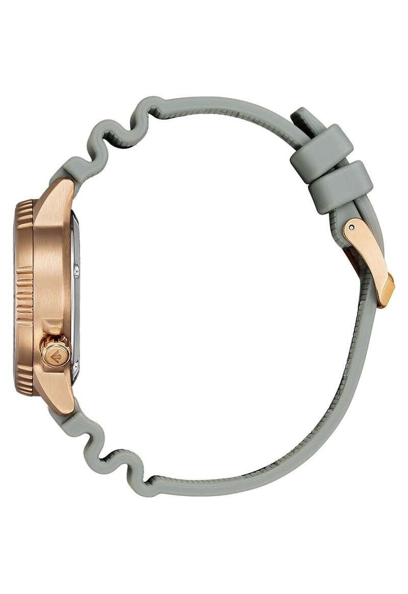 Citizen Promaster (EO2023-00W)