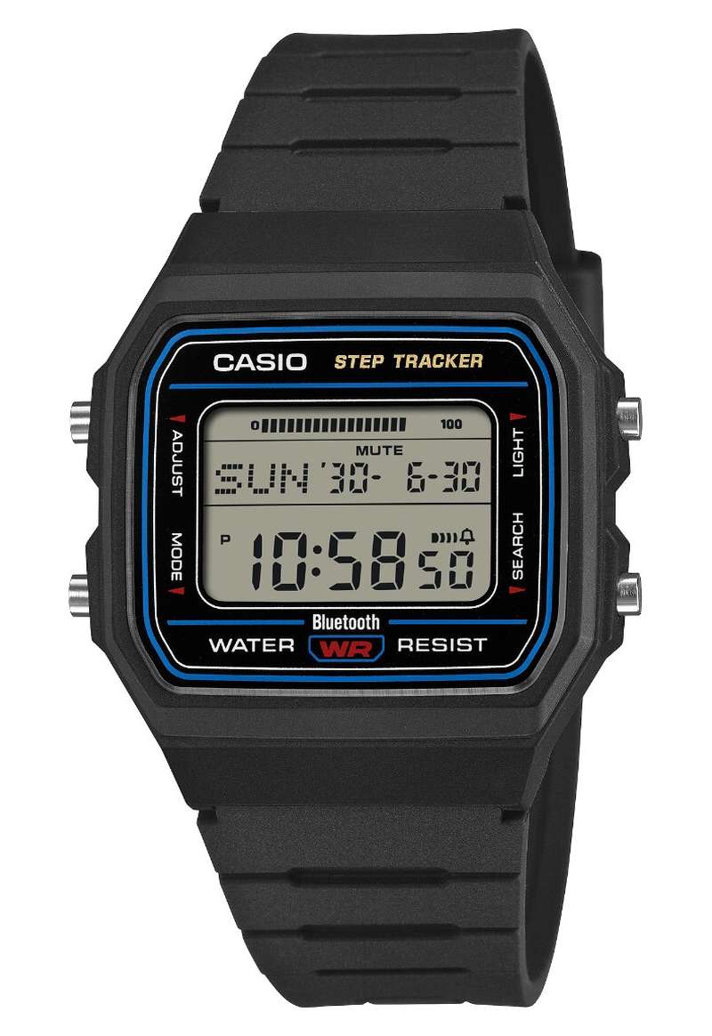 CASIO Vintage (F-B100W-1A-M)