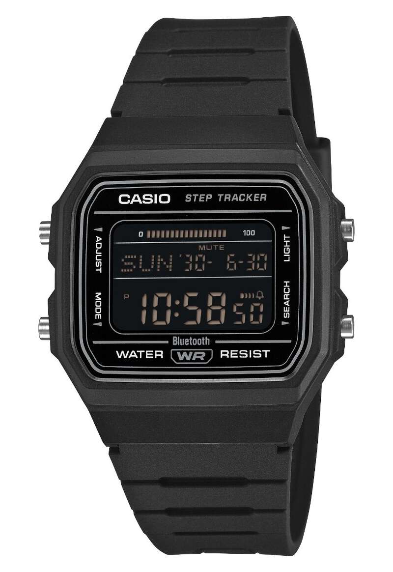 CASIO Vintage (F-B100W-1B-M)