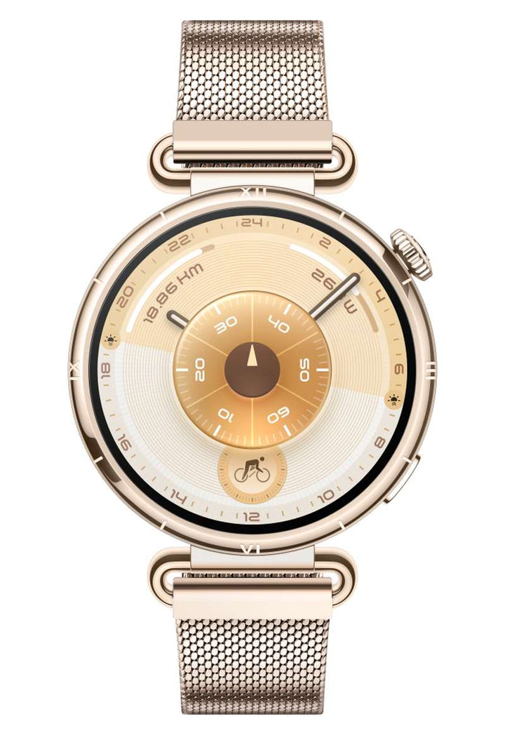 HUAWEI GT 6 41mm (WATCHGT6-KSU-B19-41-GD)