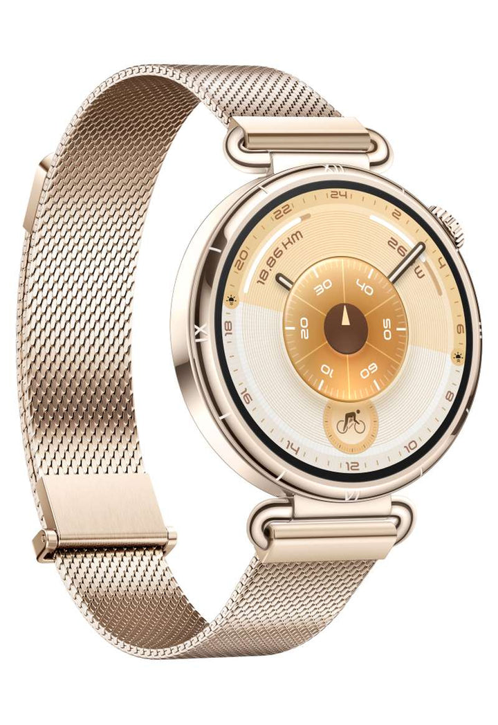 HUAWEI GT 6 41mm (WATCHGT6-KSU-B19-41-GD)