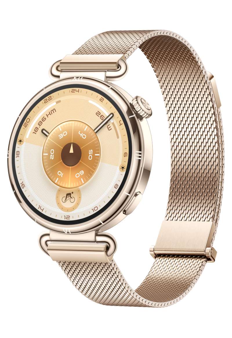 HUAWEI GT 6 41mm (WATCHGT6-KSU-B19-41-GD)