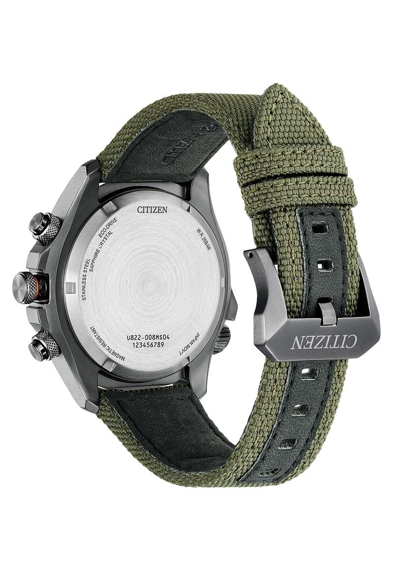 Citizen Promaster (JV1005-02W)