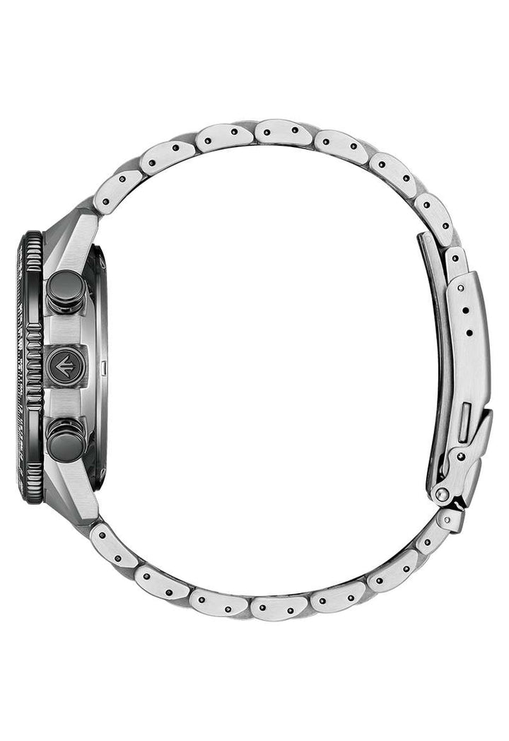 Citizen Promaster (JV2006-55H)