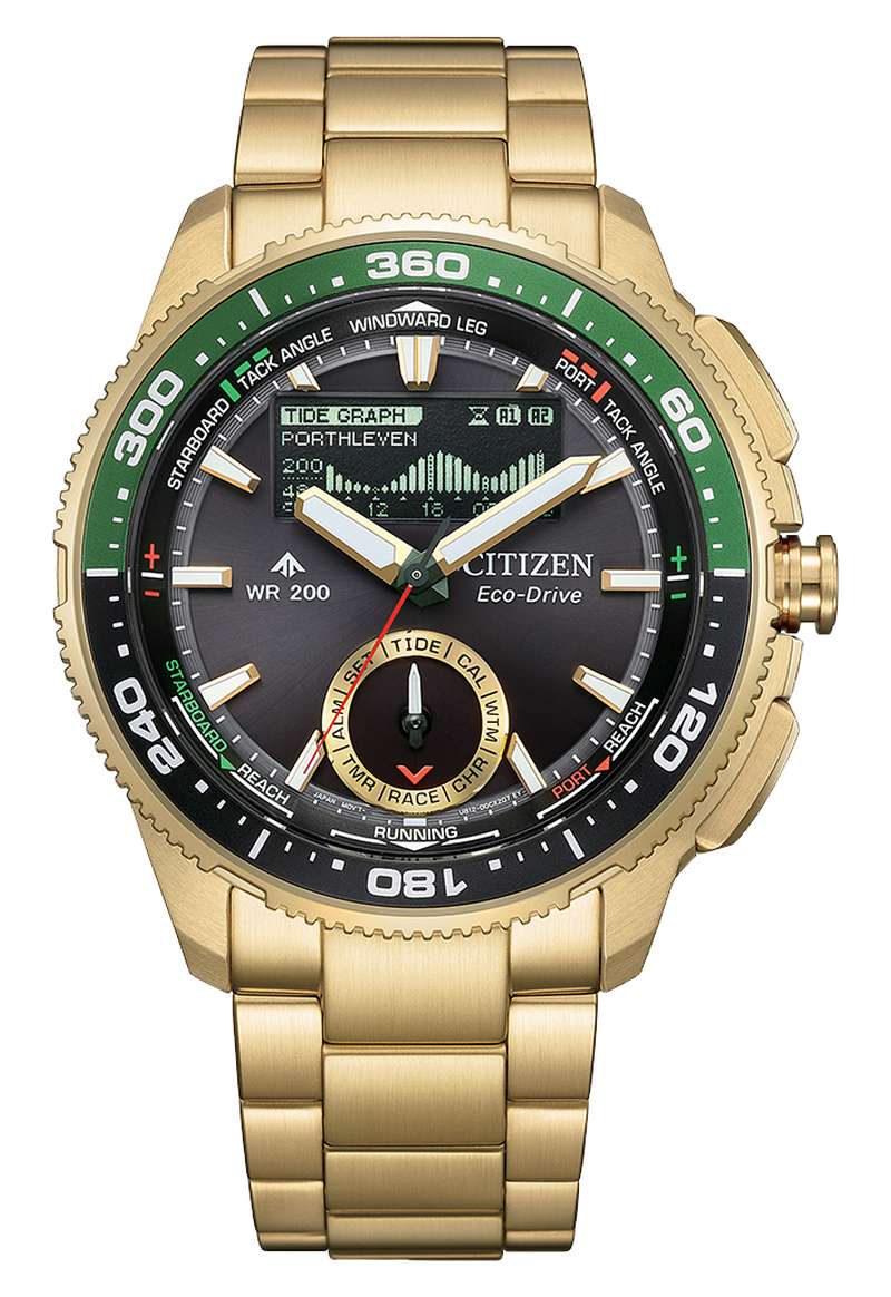 Citizen Promaster (JV3002-51E)