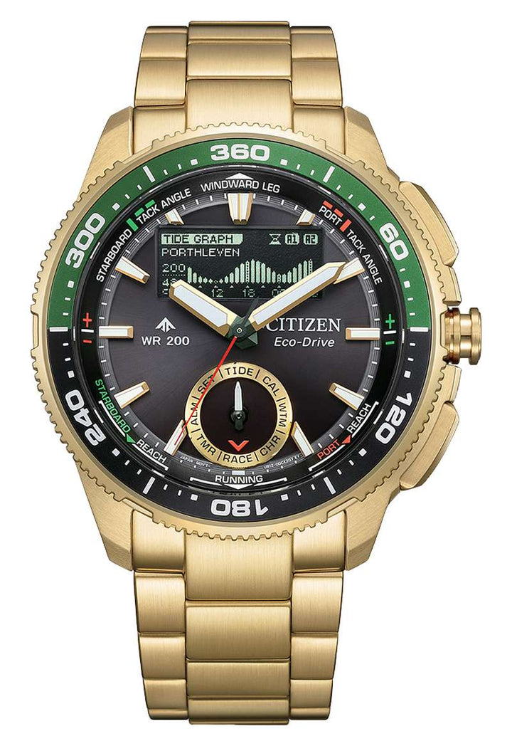 Citizen Promaster (JV3002-51E)