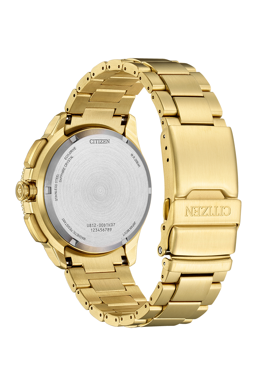 Citizen Promaster (JV3002-51E)
