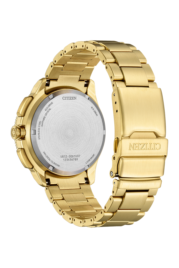 Citizen Promaster (JV3002-51E)
