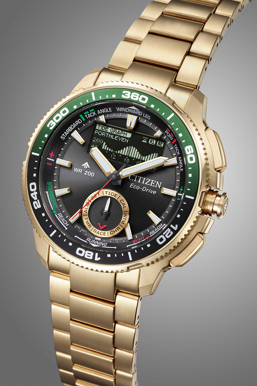 Citizen Promaster (JV3002-51E)