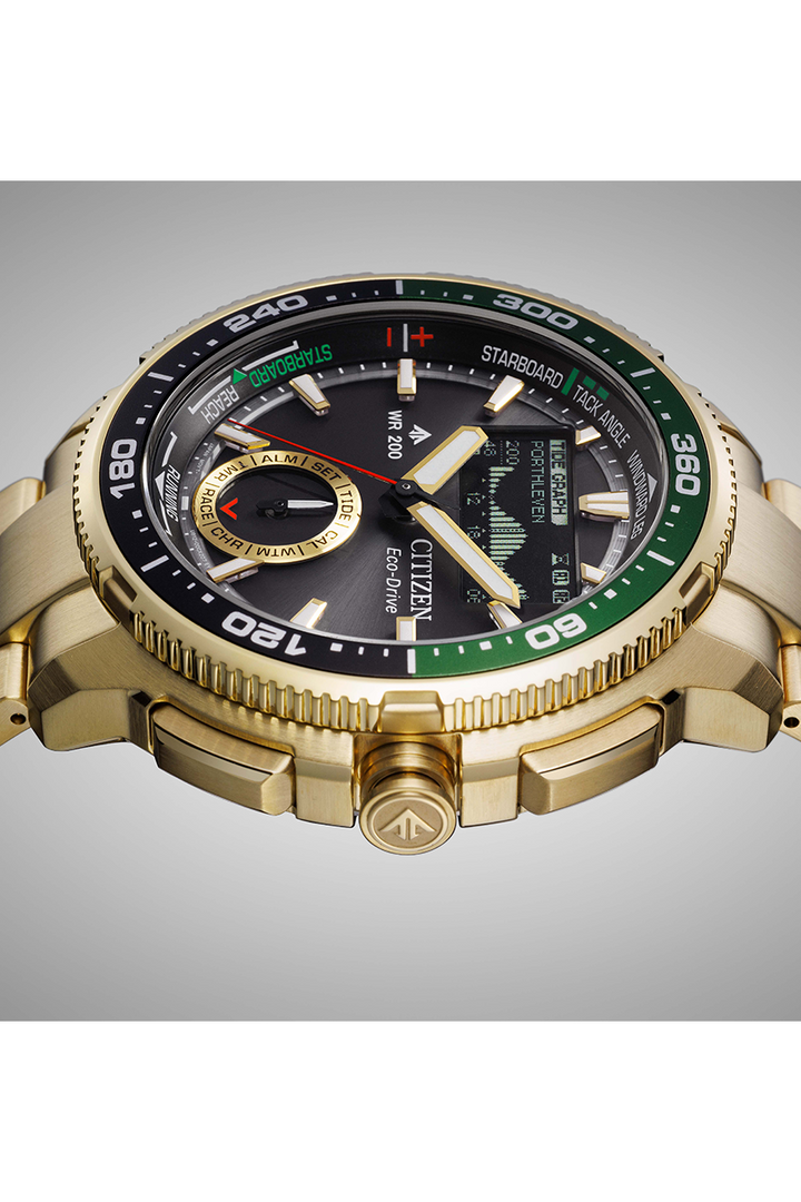 Citizen Promaster (JV3002-51E)