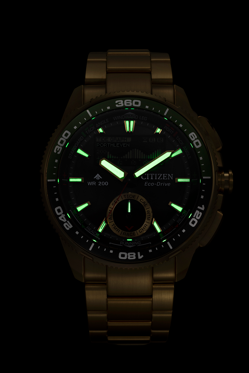 Citizen Promaster (JV3002-51E)