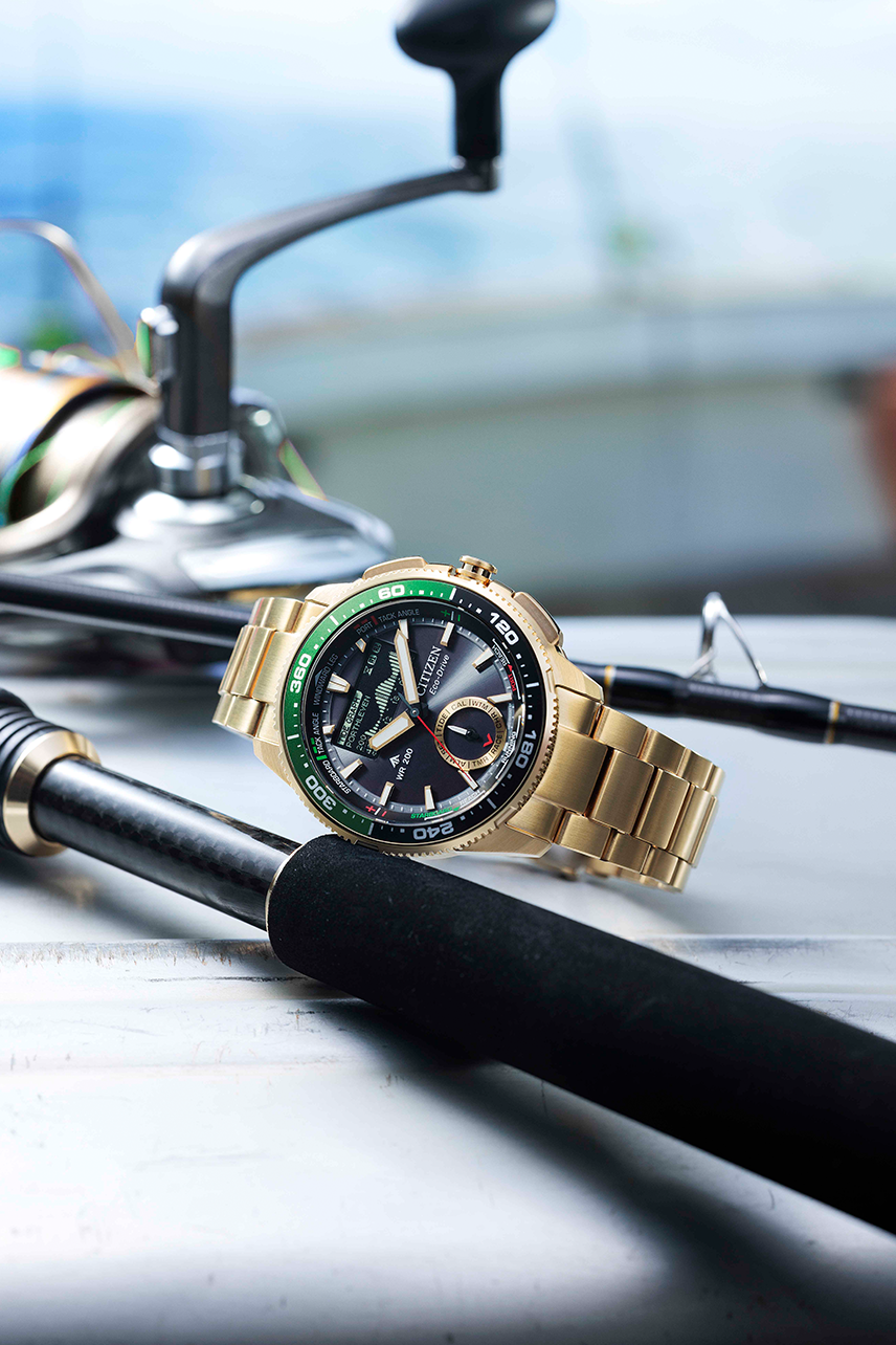 Citizen Promaster (JV3002-51E)