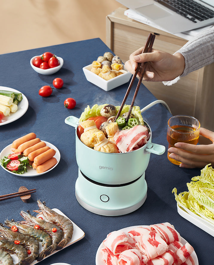 GEMINI Easy Carry Multi-functional Mini Electric Cooker GMC5V (Retail price: $450)