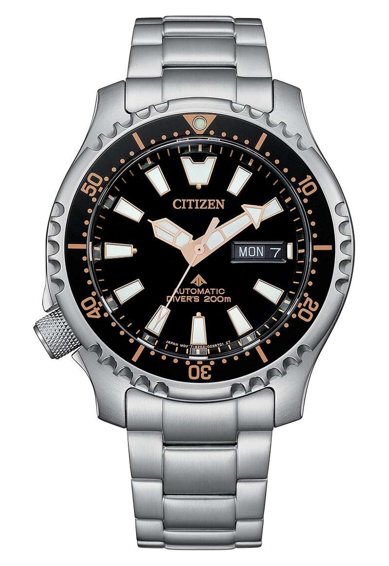 Citizen Promaster (NY0160-66E)